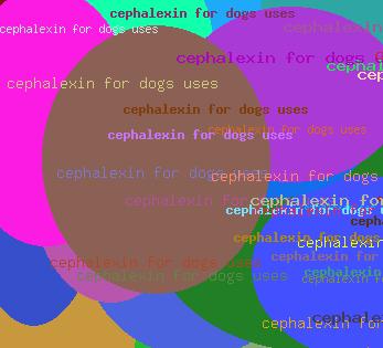 cephalexin for dogs uses